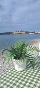 SAND GARDEN - Restaurant
