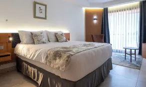Iconic Plaza Hotel - Room