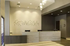 Hilton Garden Inn Minneapolis University Area - Réception