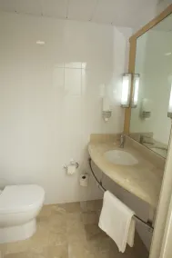 Ibis San Luis Potosi - Salle de bain