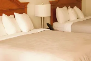 Quality Inn near Chattanooga South - Chambre