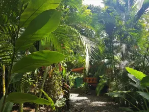 El Jardin de Playa Negra - View from room