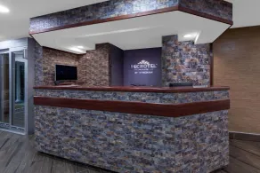 Microtel Inn Suite by Wyndham BWI Airport - Réception