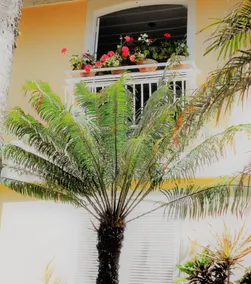 Auberge de la Langouste - View from room