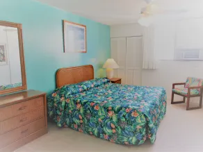 HEART of WAIKIKI,1BDRM,FREE PARKING, WIFI,NO RESORT FEES,YOUTUBE,NETFLIX ! - Rom