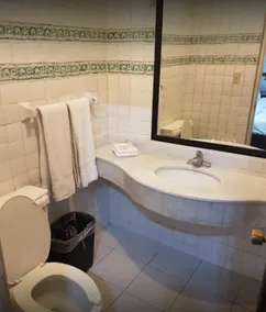 Hotel Urdiñola Saltillo - Salle de bain