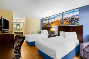 Days Inn by Wyndham Petersburg/South Fort Lee - Chambre