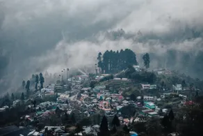 Sterling Darjeeling - View from room
