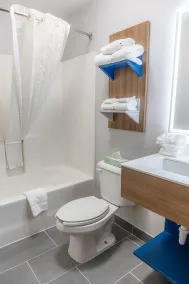 Microtel Inn & Suites by Wyndham Kingsland Naval Base I-95 - Salle de bain