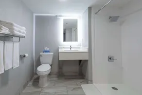 Rodeway Inn & Suites near Outlet Mall - Asheville - Salle de bain