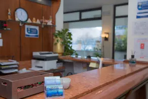 Hotel Chalet del Lago - Rezeption