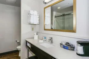 Hampton Inn & Suites Mobile- Downtown Historic District - Salle de bain
