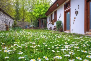 Serbetci Garden Konak - Vue de la chambre