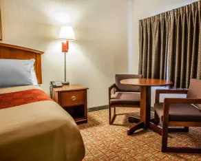 Econo Lodge Douglassville-Pottstown - Chambre