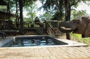 Khanya Tented Camp - Pool