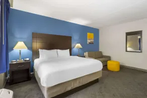 Comfort Inn & Suites Mundelein-Vernon Hills - Chambre
