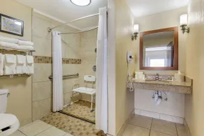 Comfort Suites Wilson - I - 95 - Chambre