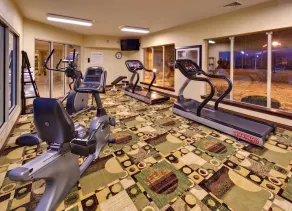 Holiday Inn Express Hotel & Suites Pleasant Prairie-Kenosha by IHG - Salle de remise en forme