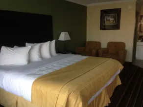 Quality Inn & Suites Horse Cave - Cave City - Værelse