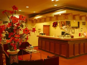 Hotel Sunny Valley - Reception