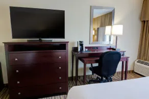 Holiday Inn St. Petersburg N - Clearwater by IHG - Chambre