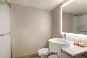 Holiday Inn Philadelphia Arpt-Stadium Area by IHG - Bathroom