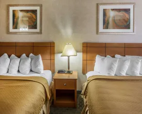 Quality Inn at Collins Road - Cedar Rapids - Chambre