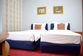 Hotel Aristocrat & Fish Restaurant - Room