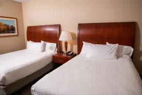 Hilton Garden Inn Erie - Chambre