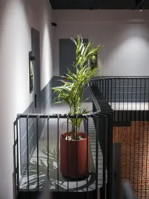 Qarvasla Hotel - Vestíbulo