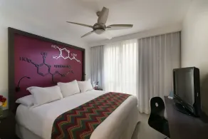 Novus Plaza Hodelpa - Room