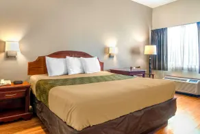 Econo Lodge Inn & Suites - Chambre