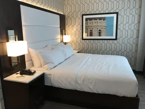 Embassy Suites by Hilton Plainfield Indianapolis Airport - Habitación