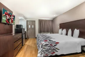 Red Roof Inn North Dallas - Park Central - Room
