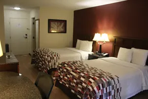 Red Roof Inn Gurnee - Waukegan - Chambre