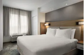 SpringHill Suites by Marriott - Tampa Brandon - Zimmer