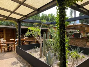 Quinta Ascensión Hotel Boutique Only Adults - Restaurant