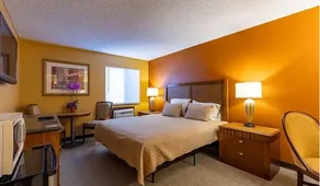 Sun Valley Suites - Chambre