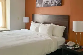 Sleep Inn & Suites Decatur West - Chambre