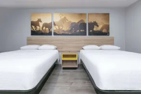 Days Inn by Wyndham South Fort Worth - Chambre