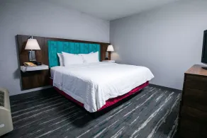 Hampton Inn Pickwick Dam-At Shiloh Falls - Værelse