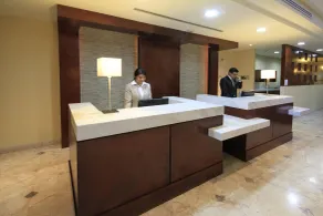 Holiday Inn Monclova by IHG - Rezeption