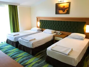 Forest Park Hotel - Chambre