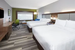 Holiday Inn Express & Suites Chicago North Shore - Niles by IHG - Room