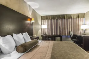 Quality Hotel & Conference Centre - Chambre