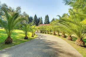 Luxe Vineyard Villa w/ Views & Fire Pit in Loomis! - Interiør