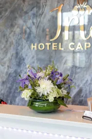 Iris Hotel Cape Cod  - Réception