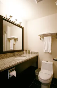 Foxwood Inn & Suites - Badezimmer