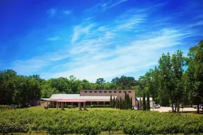 NEU! \"Tuscan Cottage\" Pittsburg Studio auf Weingut! - Innenbereich