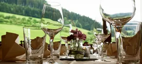 Hotel Fuxxbau - Restaurant